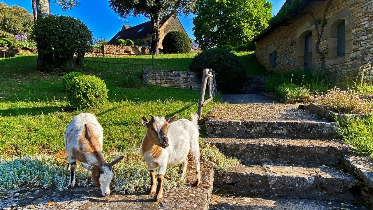 Villa Eco-Hameau Du Sentier Des Sources Sarlat Exterior foto